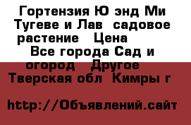 Гортензия Ю энд Ми Тугеве и Лав, садовое растение › Цена ­ 550 - Все города Сад и огород » Другое   . Тверская обл.,Кимры г.